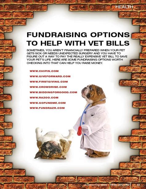 charities for help with vet bills|Compassion Animal Project .